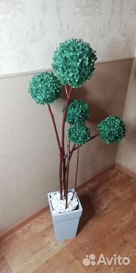 Шар самшитовый, высота30, 50,40 см