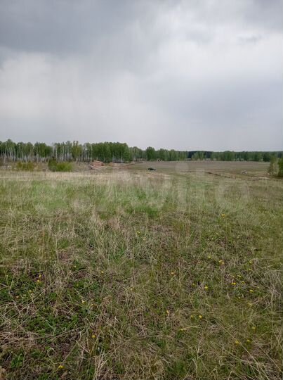 Участок 5,4 га (СНТ, ДНП)