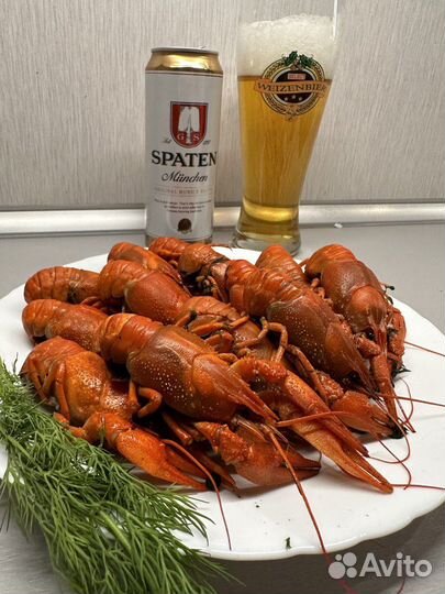 Живые раки с доставкой