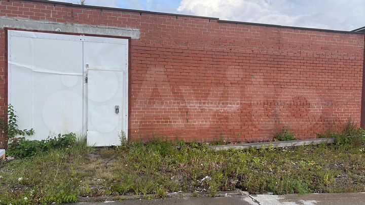 Холодильник склад, 63.8 м²