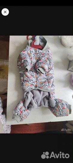 Костюм для собаки