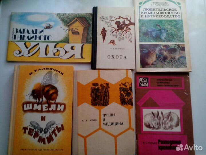 Животный мир.Кошки Собаки.Птицы