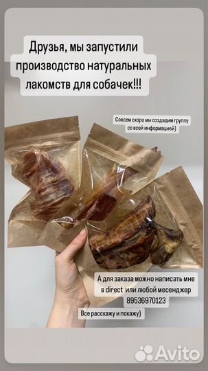 Лакомства для собак