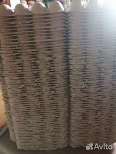 Ячейки для перепелиных яиц