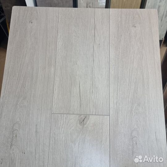 Ламинат Вяз Дорсей