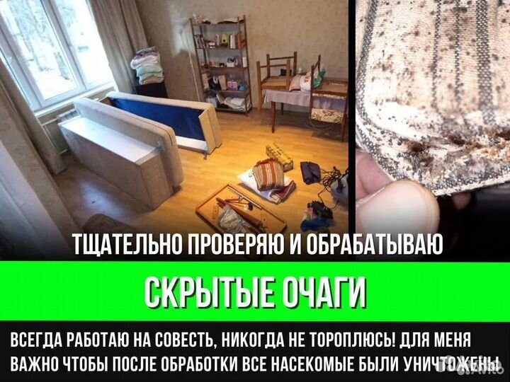 Травить тараканов. Уничтожение клопов. Дезинфекция