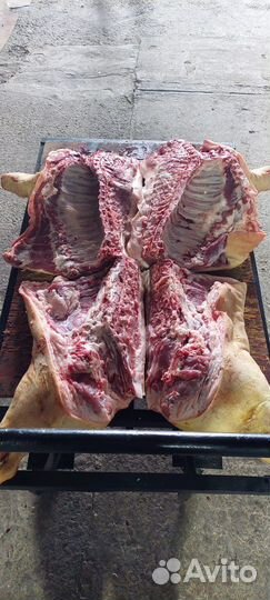 Мясо свинины домашнее