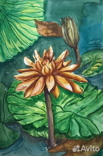 Акварельная картина 