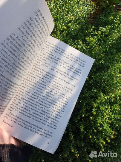 Книга Ирвинга Стоуна 