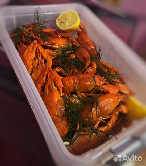 Раки живые и вареные