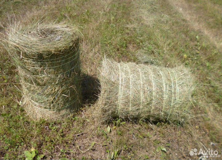 Продаю сено