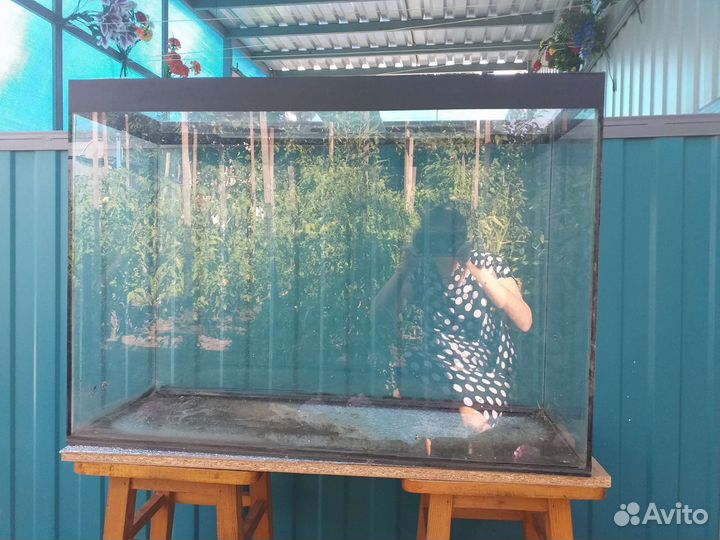 Аквариум