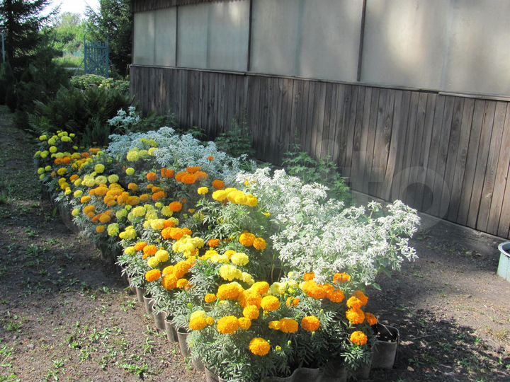 Дом 110 м² на участке 16 сот.