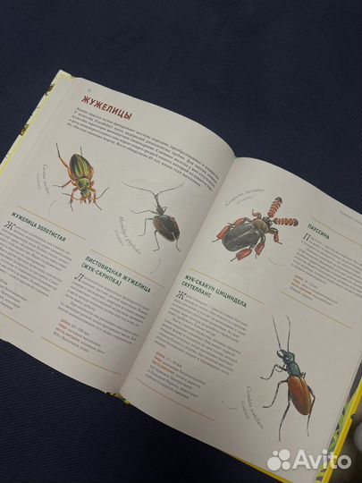 Энциклопедия