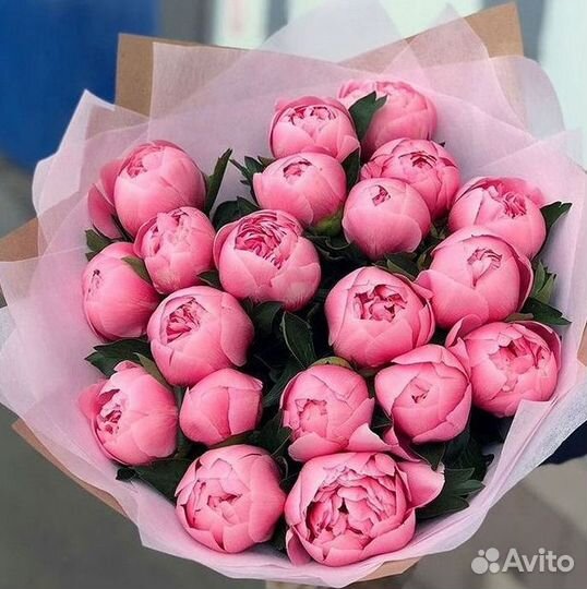 Пионы Букет