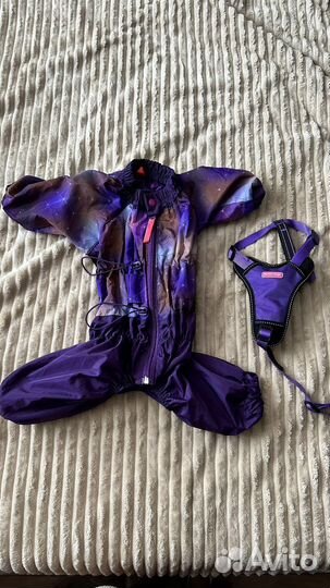 Дождевик для собаки девочки