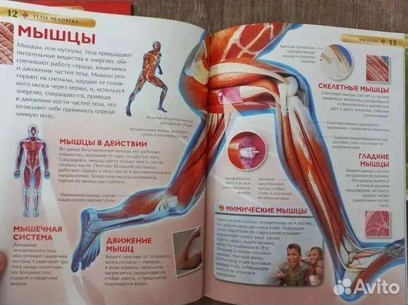 Детская энциклопедия