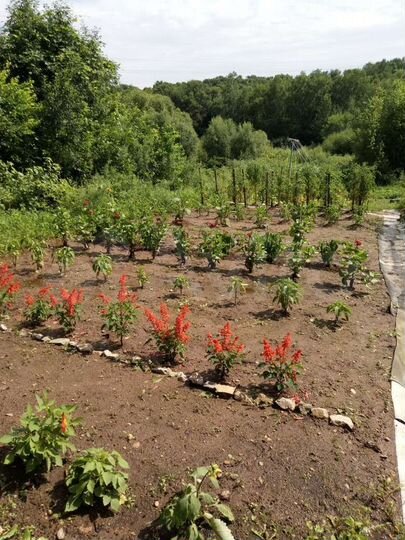 Дача 10 м² на участке 8 сот.