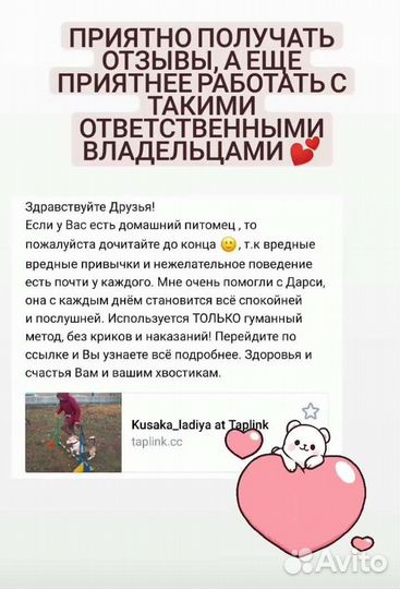 Кинолог. Воспитание собак