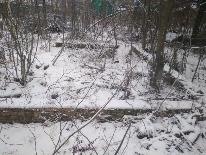 Участок 6 сот. (СНТ, ДНП)