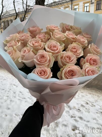 25 эквадорских роз белый красный розовый