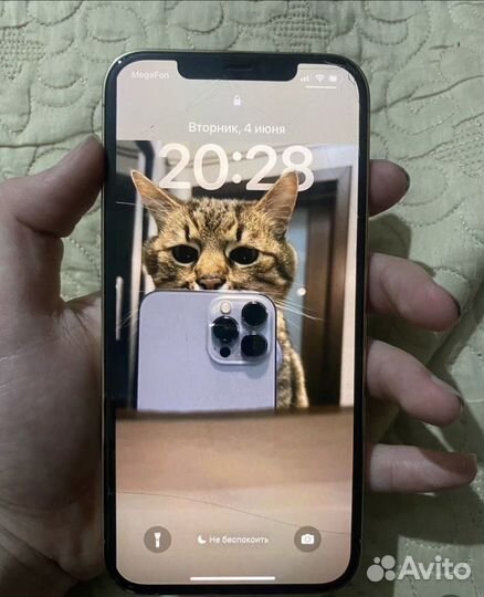 iPhone 12 Pro Max, 128 ГБ