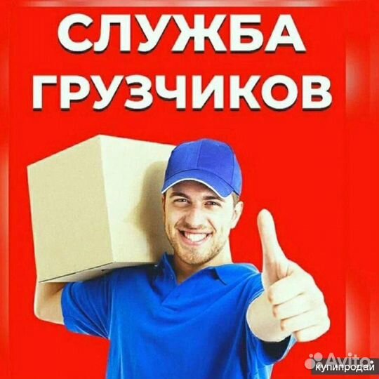 Ежедневные выплаты