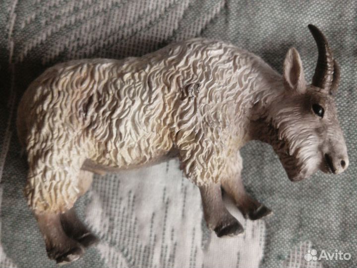 Модели животных