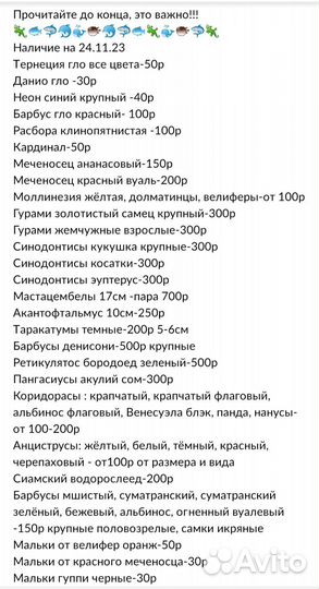 Прайс аквариумных рыбок