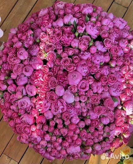 Пионовидные розы