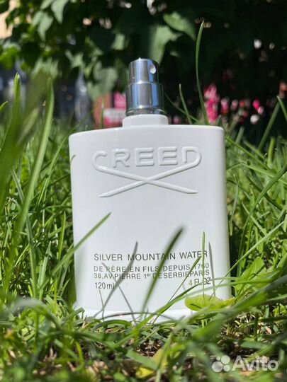 Creed Silver Mountain water
