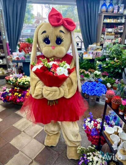 Зайка на торжество