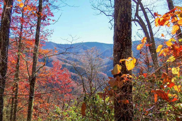 Участок 2,3 га (СНТ, ДНП)