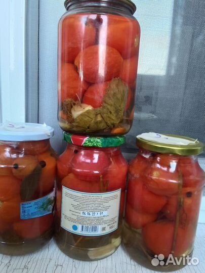 Помидоры маринованные