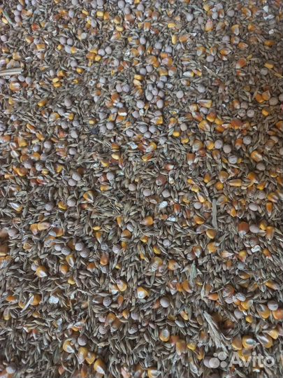 Зерносмесь