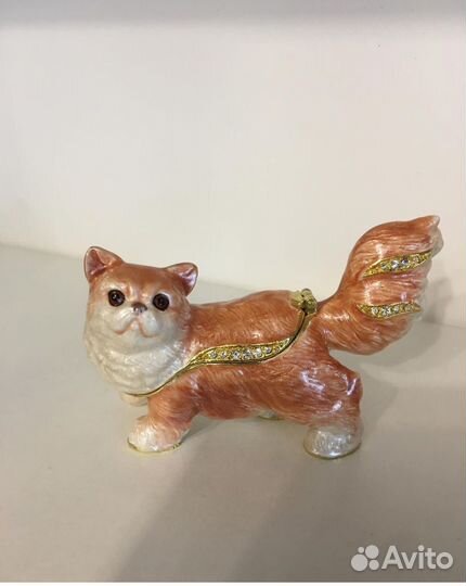 Кот-шкатулка