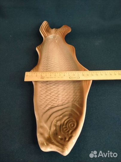 Селёдочница Рыба