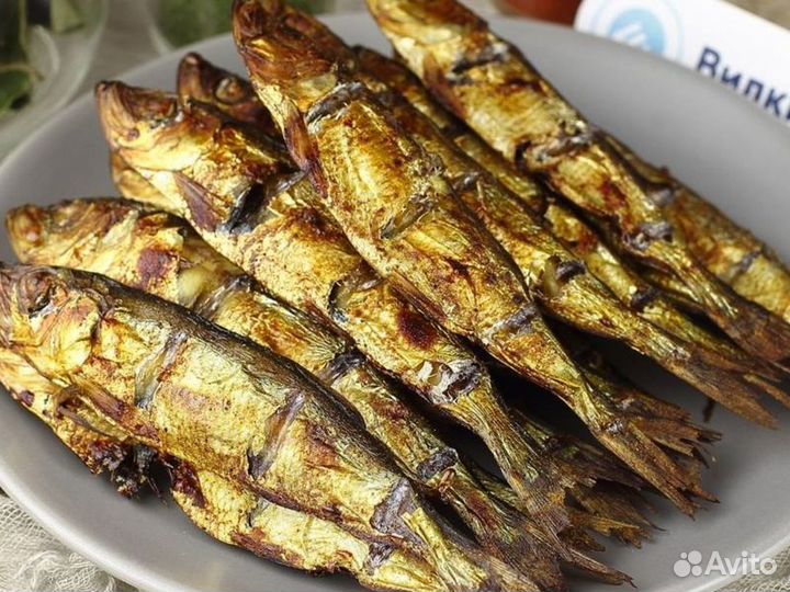 Экскурсия — Юрмала — Природный Парк Рагакапа: орыб