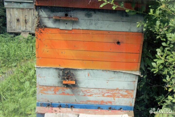 Улей -лежак