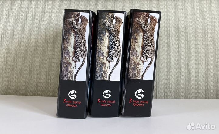 Энциклопедия. В мире дикой природы