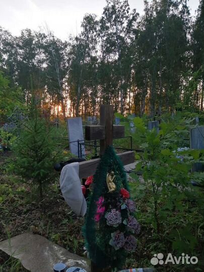 Счастливые Деревца