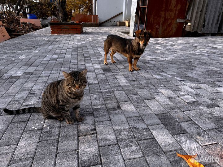 Тротуарная плитка широкий формат от завода