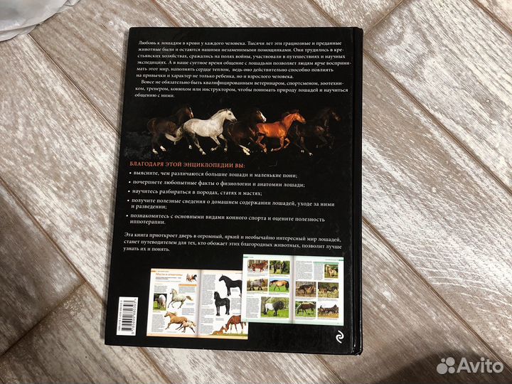 Книги о лошадях