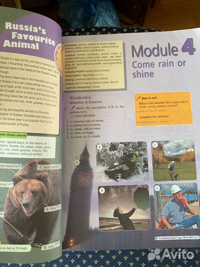 Учебник английского языка 5 класс starlight