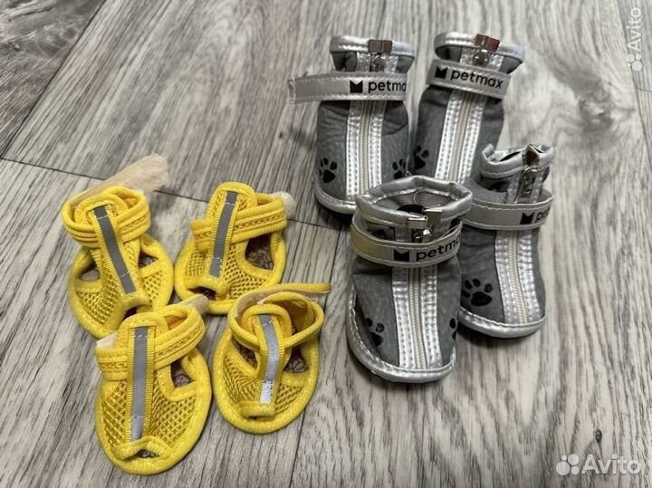 Зимний ботинки ошейник шлейка