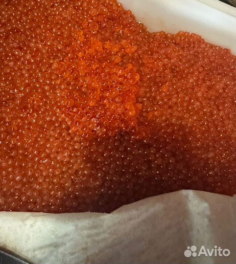 Икра красная кеты