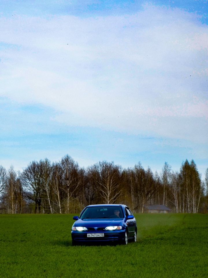 Nissan Almera: фото владельца