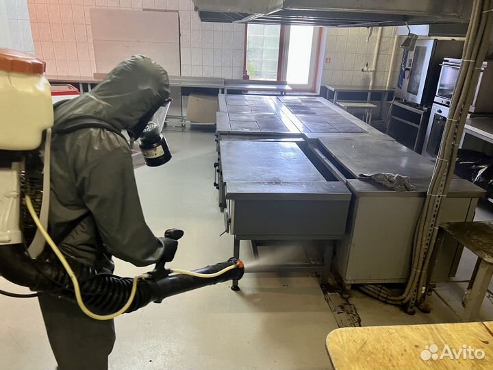 Уничтожение клопов, тараканов. Дезинфекция