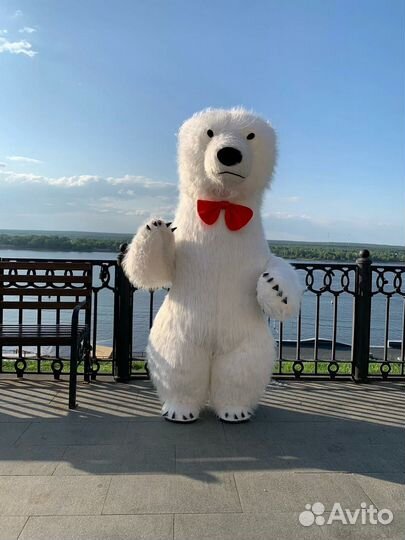 Белый Мишка поздравление