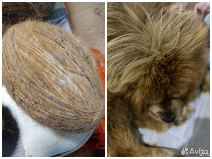 Пряжа из собачьей шерсти